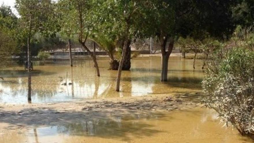 Los voluntarios colaborarán en la recuperación del Soto del Hijuelo.