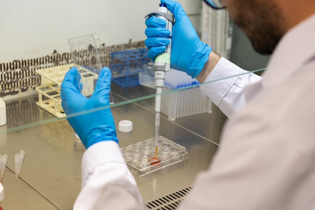 Un investigador trabaja en el proyecto