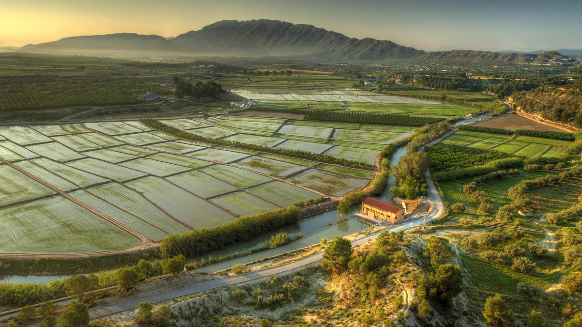 Campos de arroz en Calasparra.