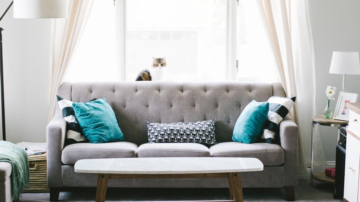 Eliminar las manchas de los sofás es fácil si sabes cómo.
