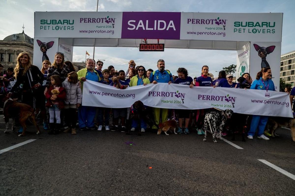 Así fue la V Carrera Perrotón en Madrid