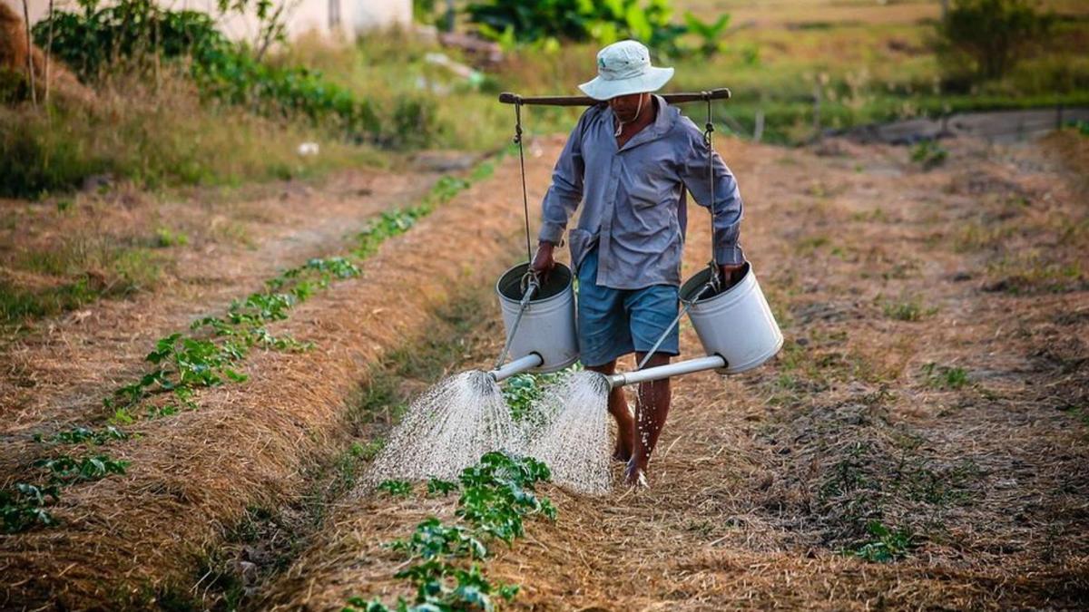 Un agricultor treballant en el seu negoci. | DDG