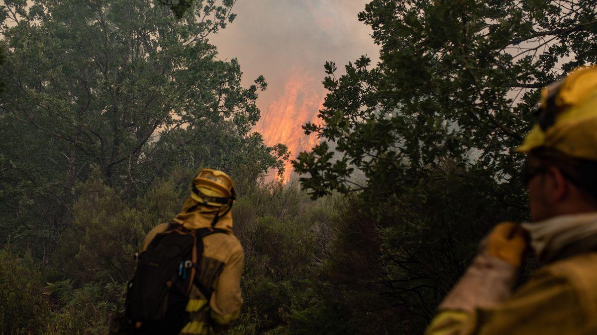 Incendio en la Sierra de la Culebra.