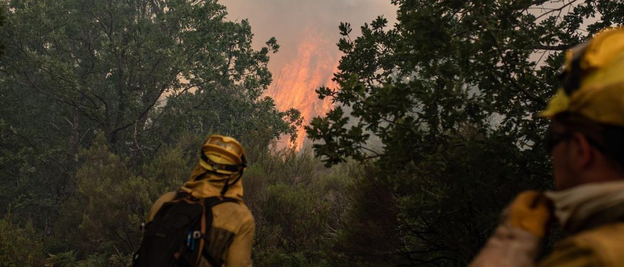 Incendio en la Sierra de la Culebra.