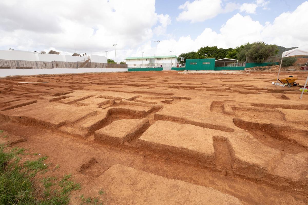 Can Cantó, una zona de cultivo para los púnicos en Ibiza