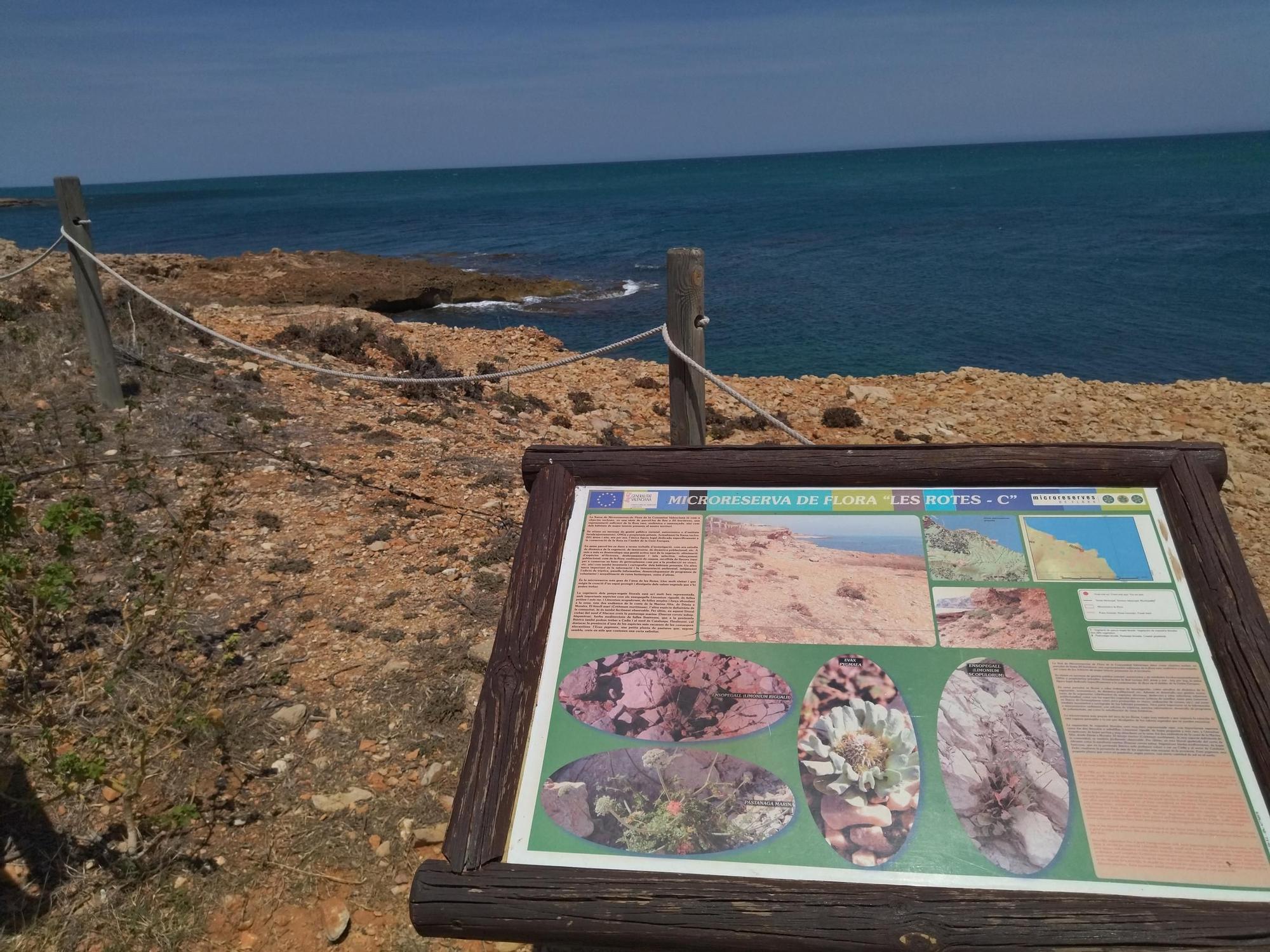 En busca de la esencia de les Rotes: un paseo por el litoral de roca de Dénia (imágenes)