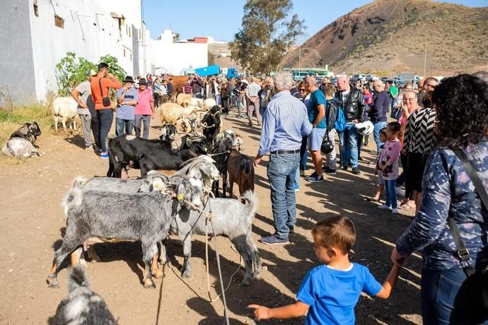 FIESTAS DE JINÁMAR