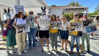 Nueva protesta animalista contra los burro-taxis de Mijas