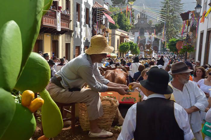 Carretas y grupos en la romería del Pino