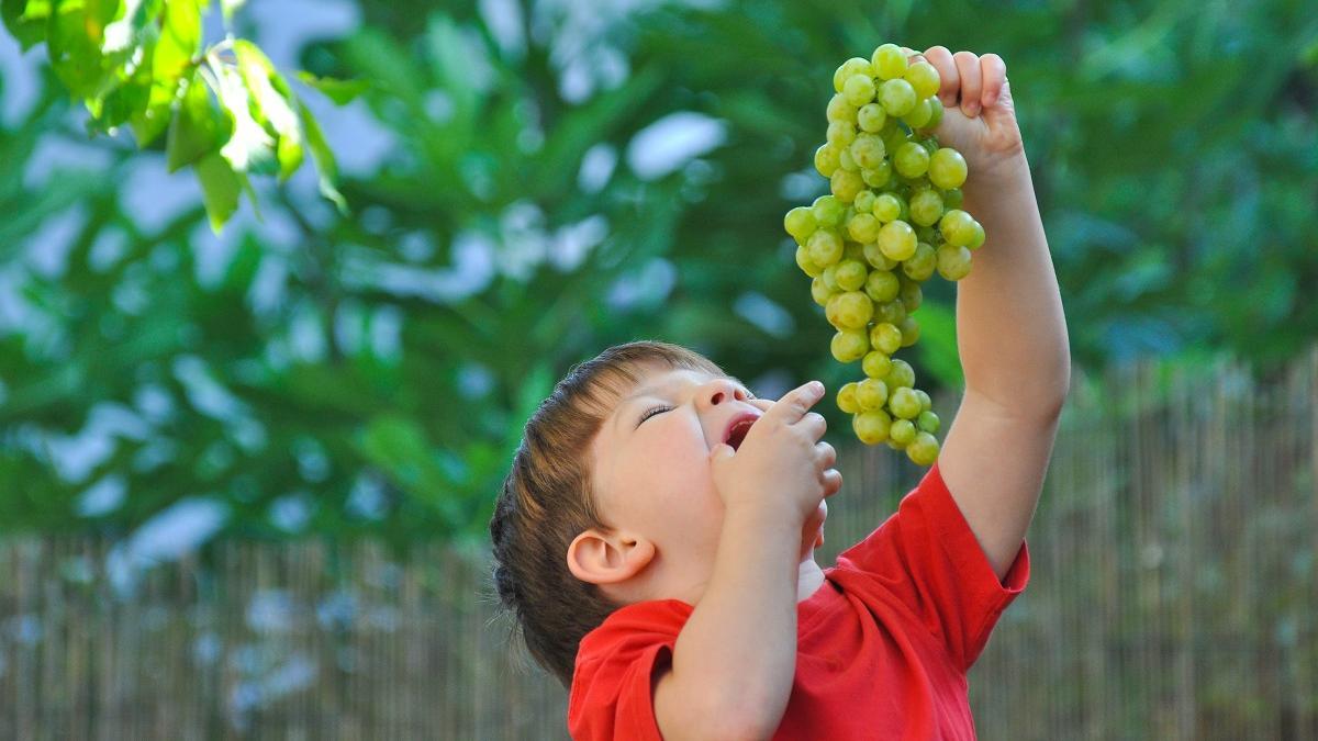 Estos son los alimentos que no debes dar a los niños para que no se atraganten.