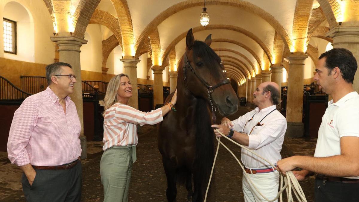 Albás espera un pronto acuerdo con Defensa y que se haga realidad el Centro Internacional del Caballo