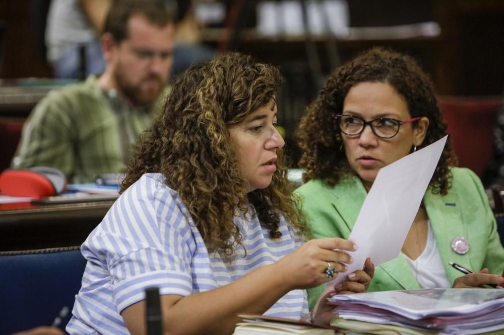 Pleno del Parlament