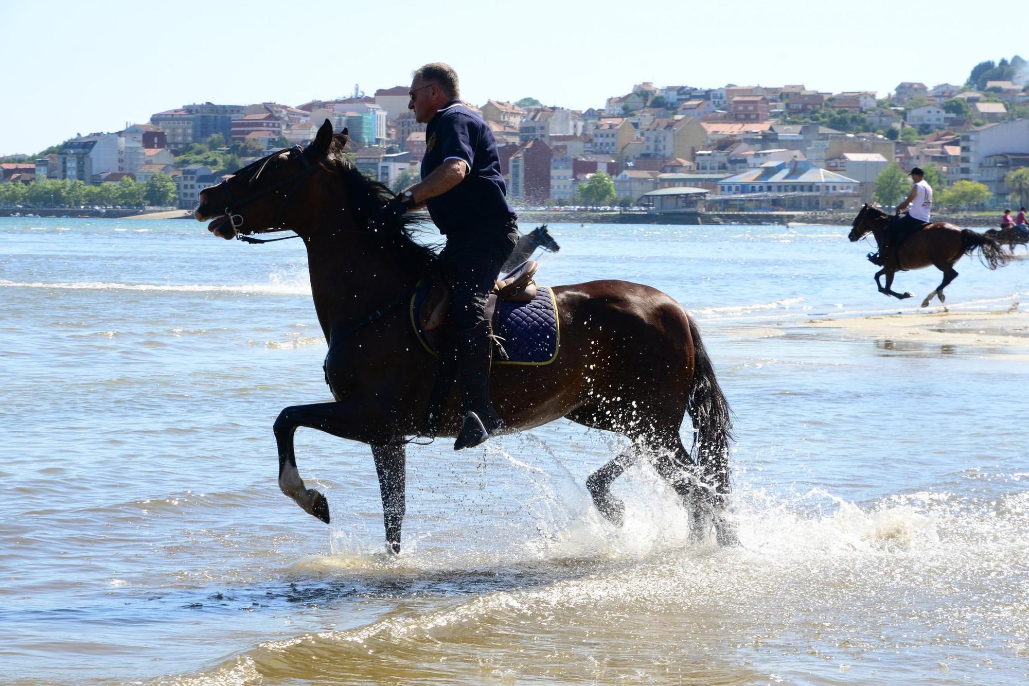Una espectacular jornada a caballo por Moaña (I)