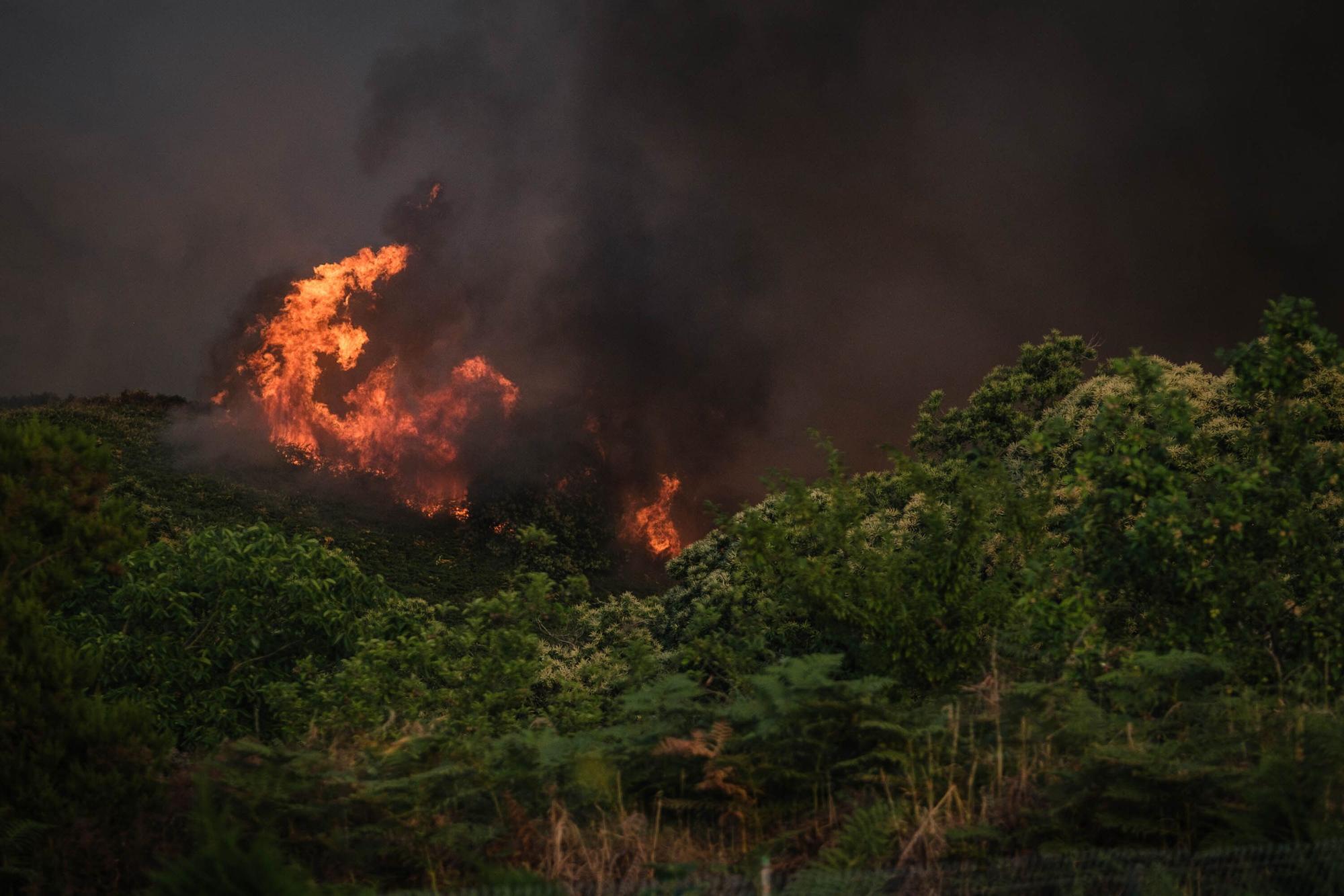 El incendio forestal de Tenerife, en imágenes