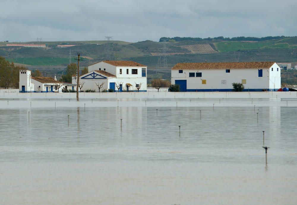 El río Ebro está a punto de desbordarse