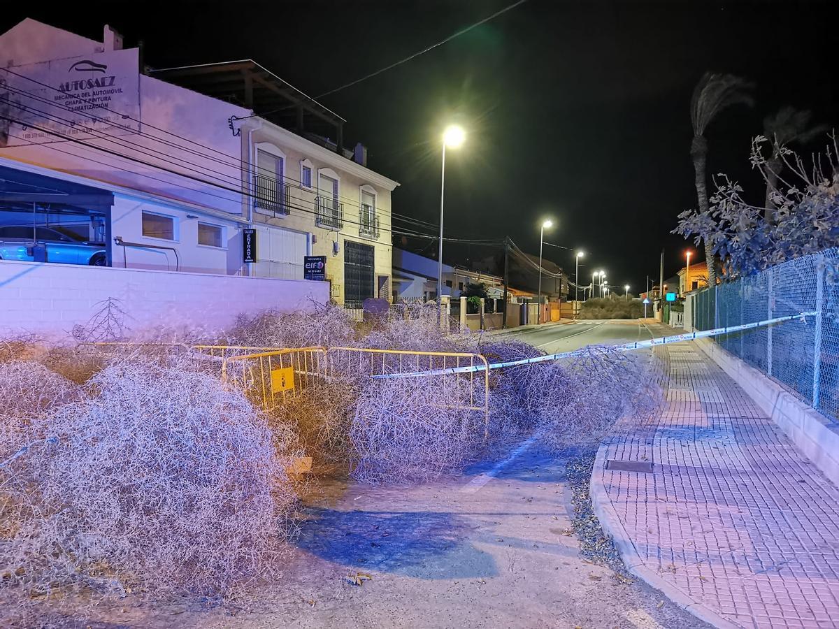Una montaña de plantas rodantes corta el tráfico de una calle de San Pedro.