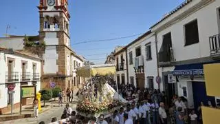 La Virgen del Sol da suerte a Adamuz en su día: toca la lotería en la administración que lleva su nombre en plenas fiestas