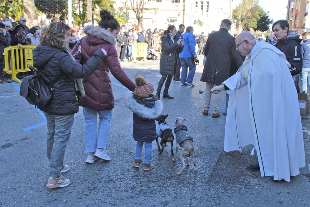 Sant Antoni en Sagunt