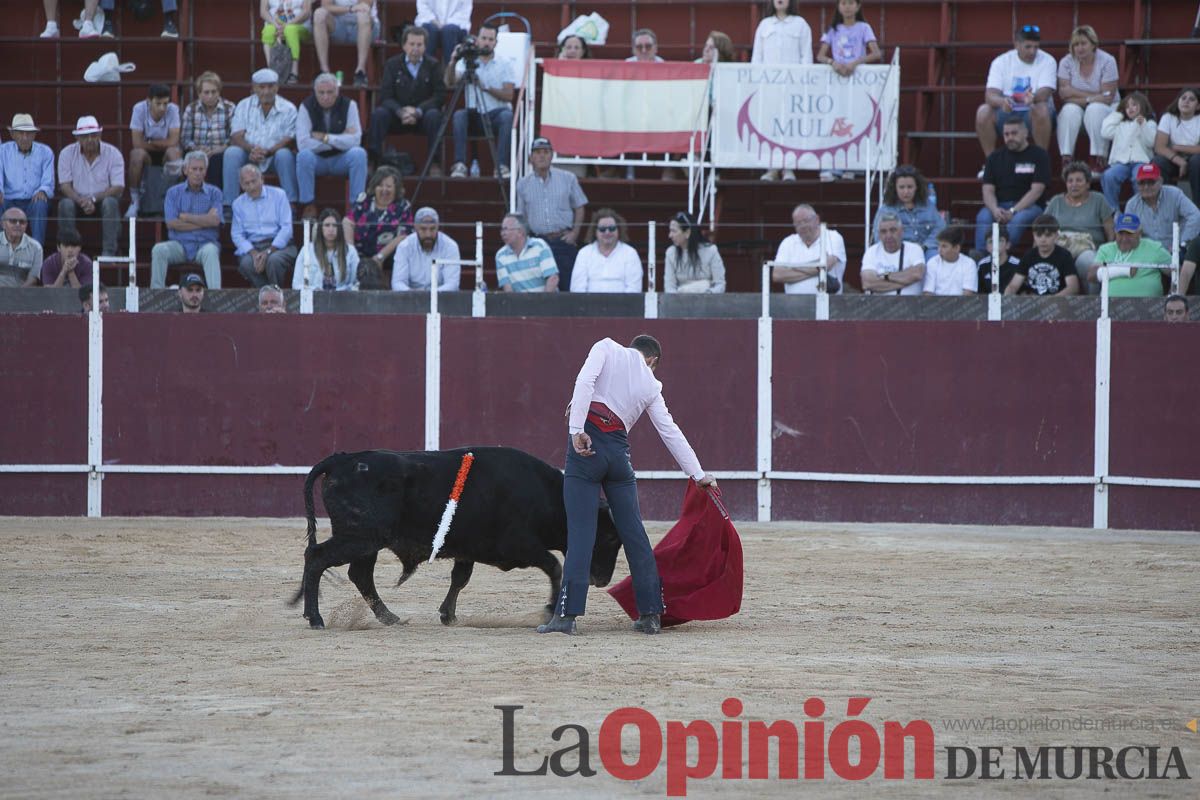 Festival taurino ‘La flor del almendro’ en Mula