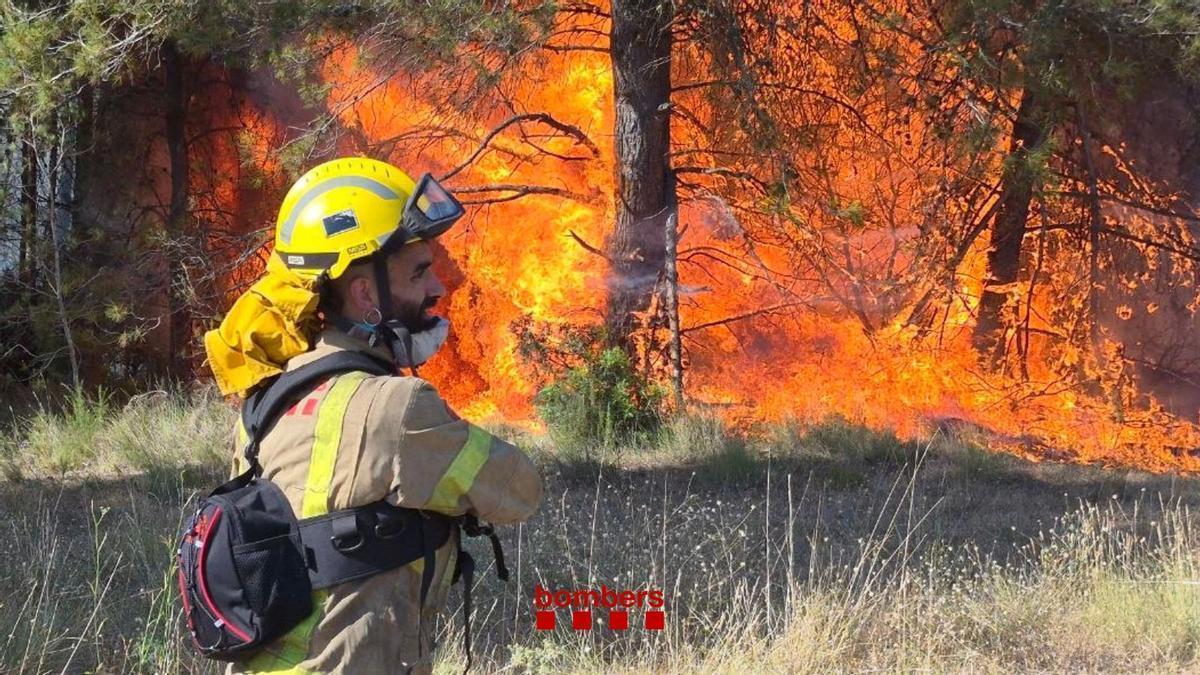 Tareas de extinción del incendio forestal del Pla de Manlleu, en Aiguamúrcia (Alt Camp), este miércoles por la tarde.