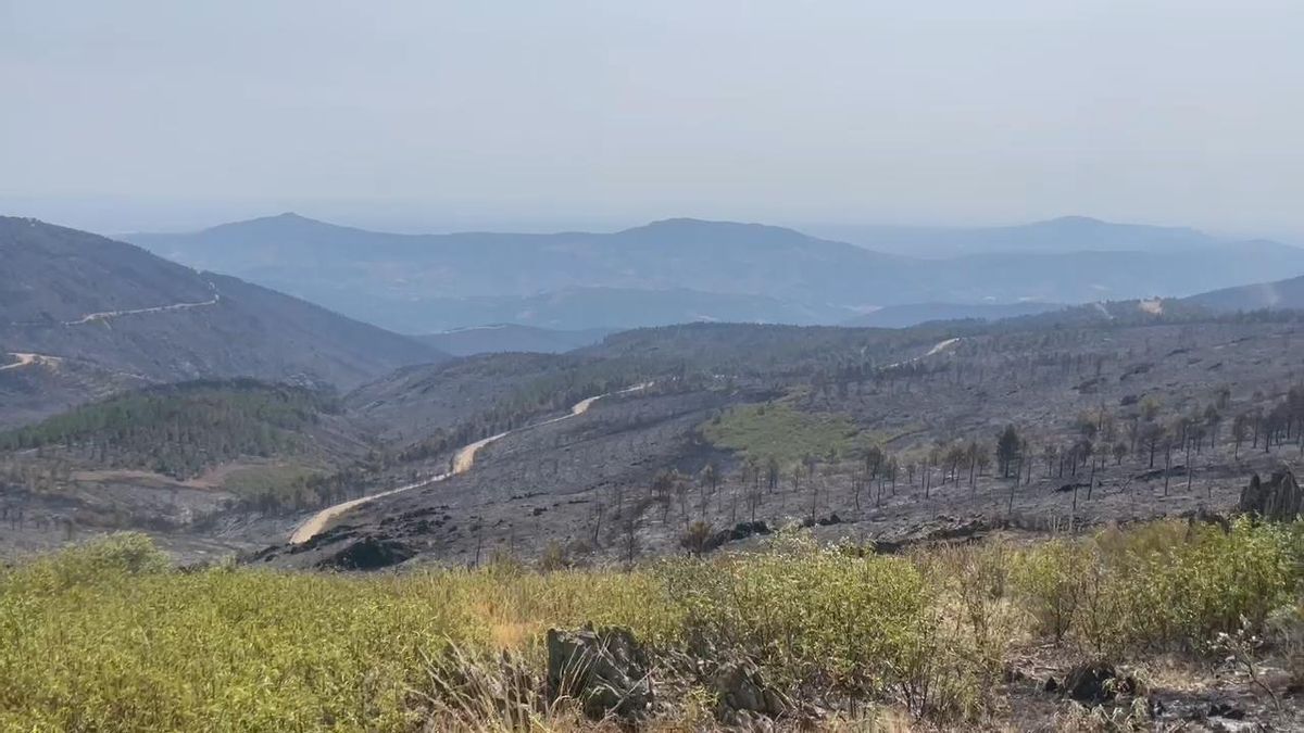 Video | Así se ven los montes de Las Hurdes quemados