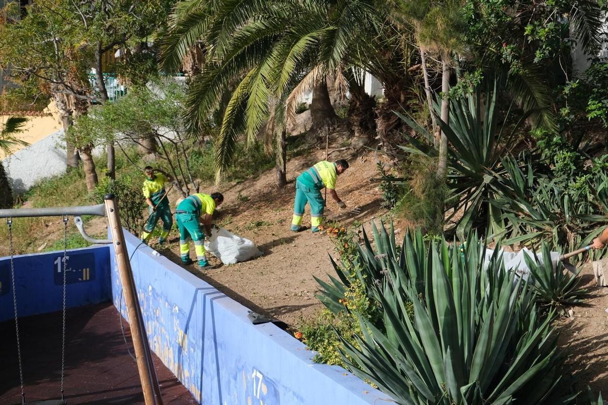 El Ayuntamiento avanza con las actuaciones conjuntas de Limpieza y Parques y Jardines en Casablanca I.