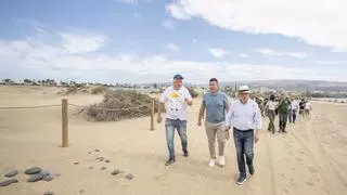 Restauración ambiental histórica: las dunas de Maspalomas recuperan el 85% del frente de Playa del Inglés