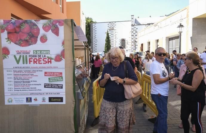 VALSEQUILLO. Feria de la fresa de Valsequillo  | 05/05/2019 | Fotógrafo: José Pérez Curbelo