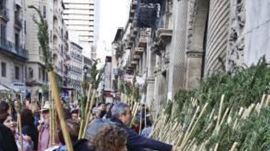 Reparto de cañas en el Ayuntamiento.