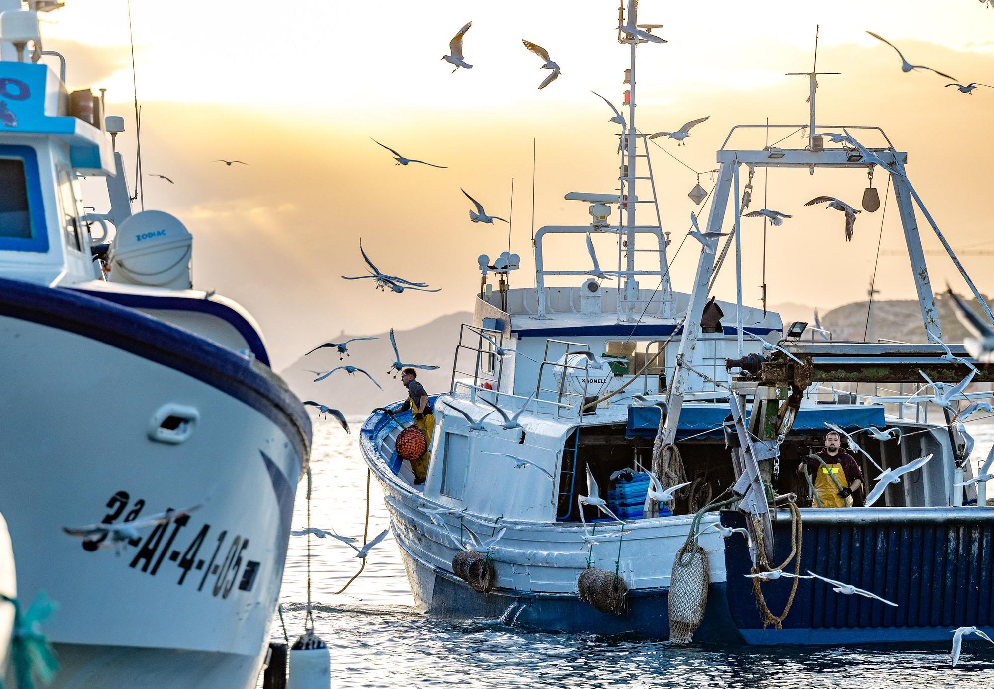 Pesca y Turismo en Villajoyosa