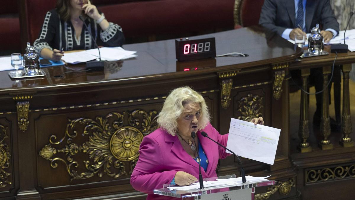 María José Ferrer San Segundo en un pleno municipal.