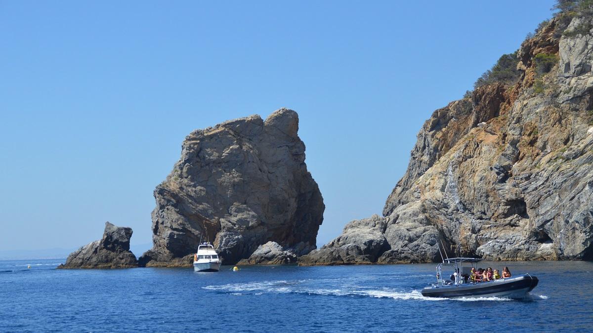 L'emblemàtic Gat de Cap Norfeu, un dels símbols del Parc Natural