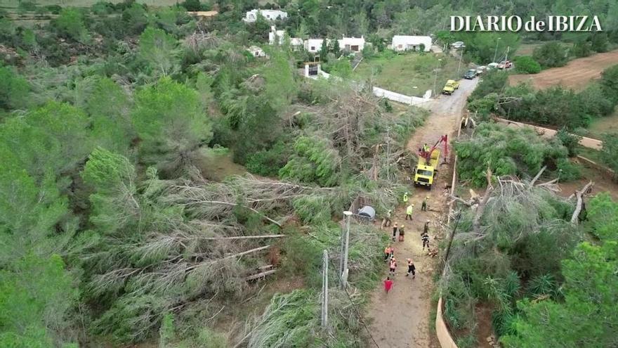 ¿Sant Antoni sufrió un tornado o un frente de racha?