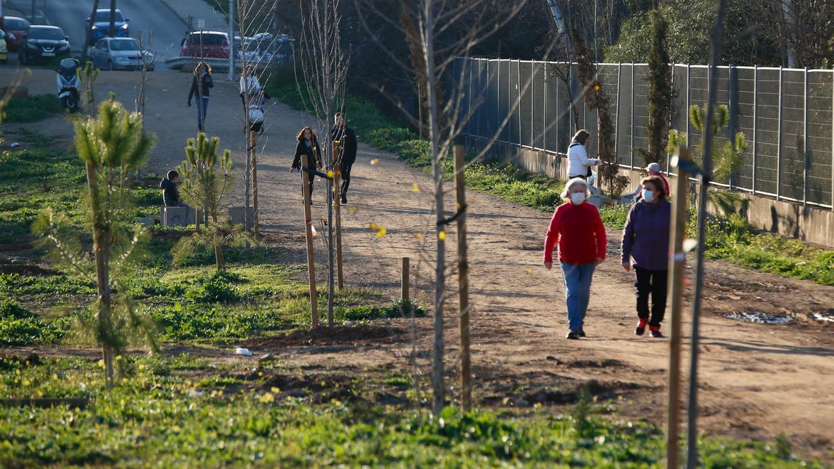 Árboles recién plantados en el Parque de Levante de Córdoba.