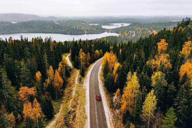 Los colores de la ruska Expedición VIAJAR Laponia