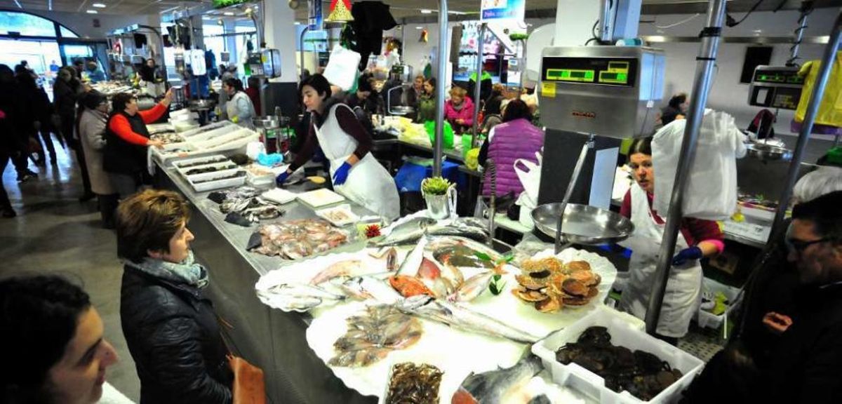 Los peces representan el 84% de las descargas y el 43% de los ingresos totales