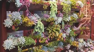 Las macetas tradicionales pasan a un segundo plano: la tendencia que gana fuerza para aprovechar al máximo los balcones pequeños