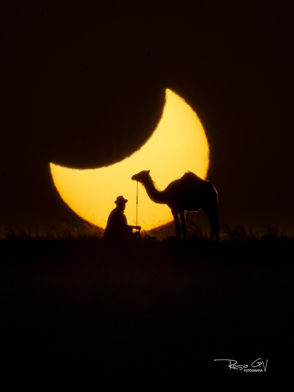 Eclipse solar con camello en Lanzarote