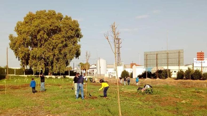 Abierto el plazo para solicitar huertos municipales en Almendralejo