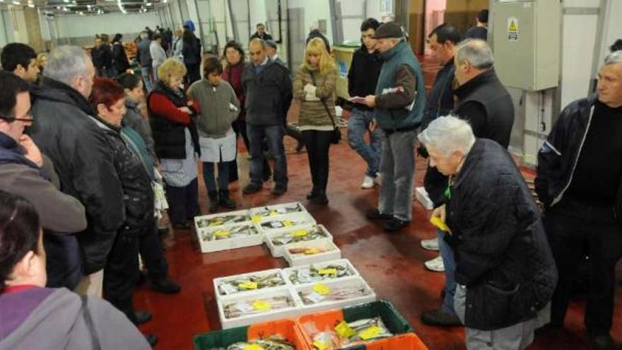 Subasta de pescado en una lonja gallega, este año.  // Gustavo Santos