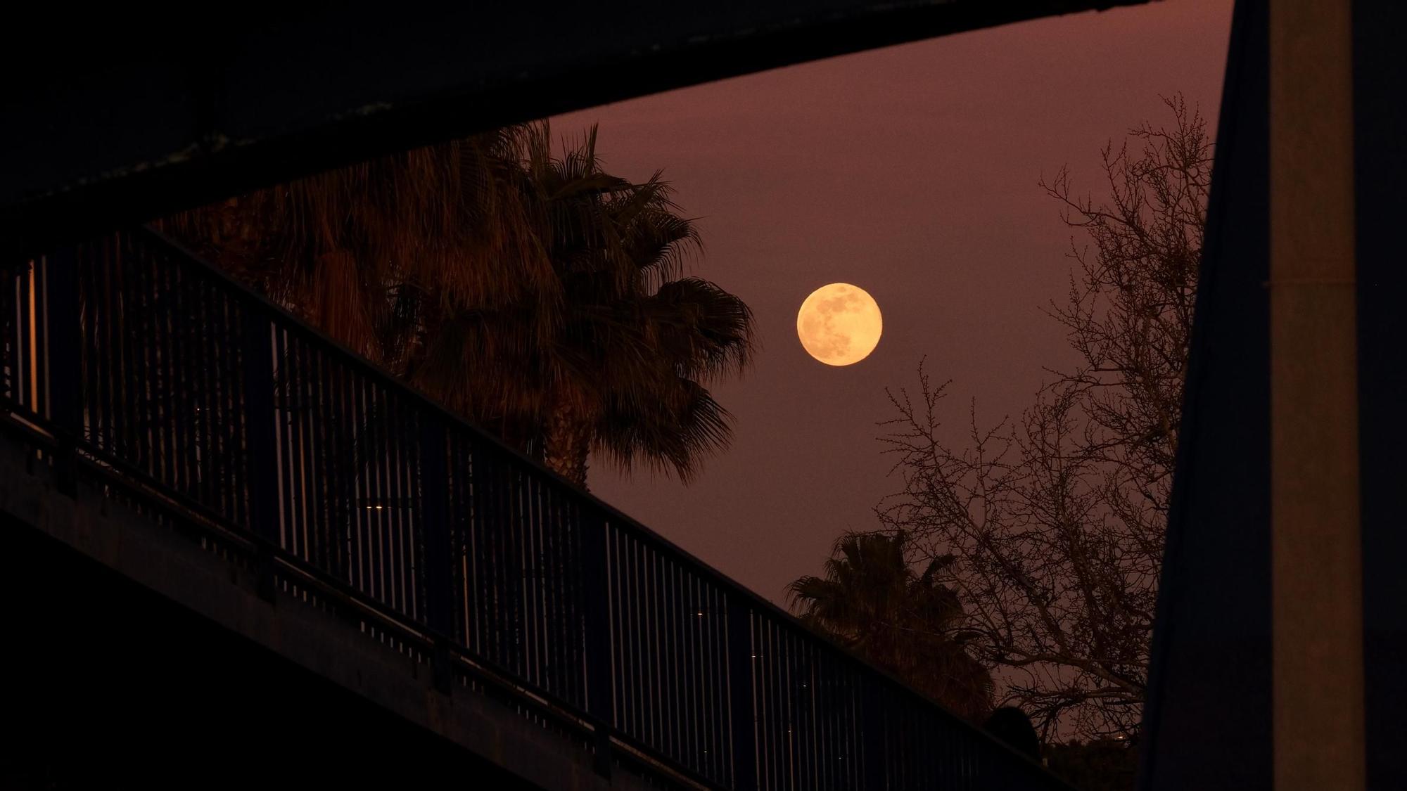 FOTOS| Así se ha visto desde Mallorca la luna llena de enero, el primer plenilunio de 2024
