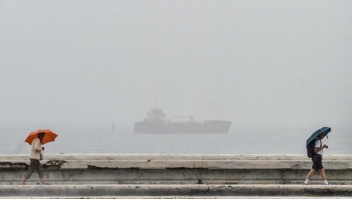 Las Palmas de Gran Canaria. Lluvia. | 19/11/2019 | Fotógrafo: José Carlos Guerra Las Palmas de Gran Canaria. Lluvia. | 19/11/2019 | Fotógrafo: José Carlos Guerra