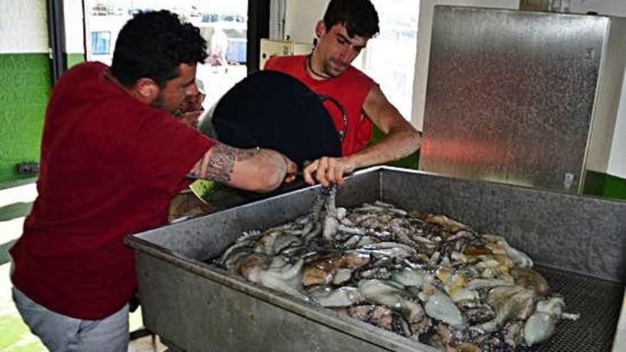 Dos pescadores descargan pulpo en una lonja gallega.