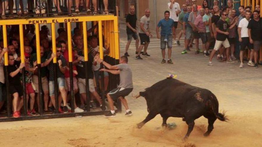 El toro cornea a un joven en Nules