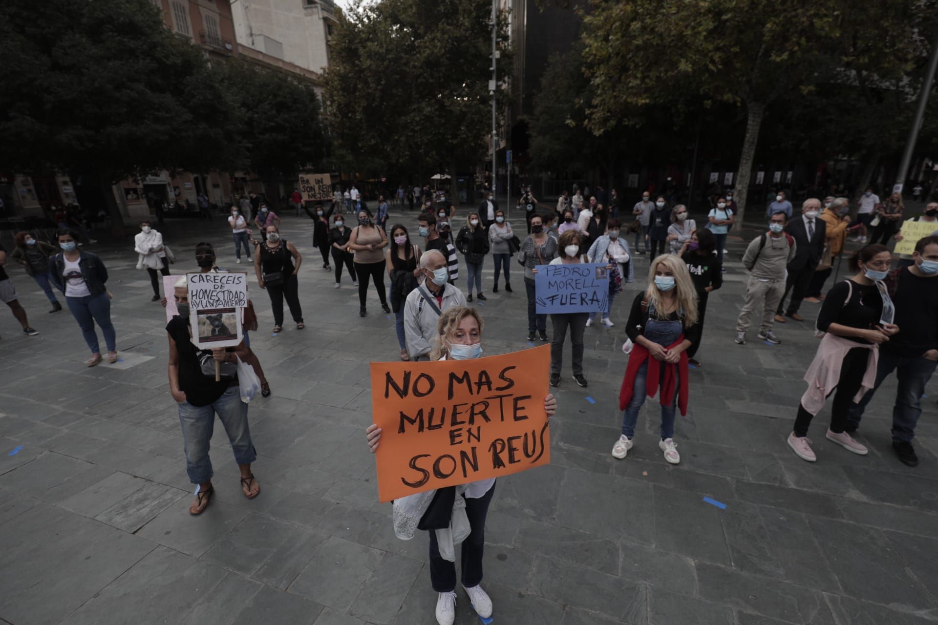 Manifestación en Palma por Venus, la perra pitbull que murió desangrada en Son Reus