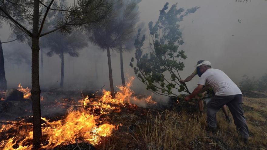 Un incendio anterior el municipio ourensano de A Peroxa. // Brais Lorenzo