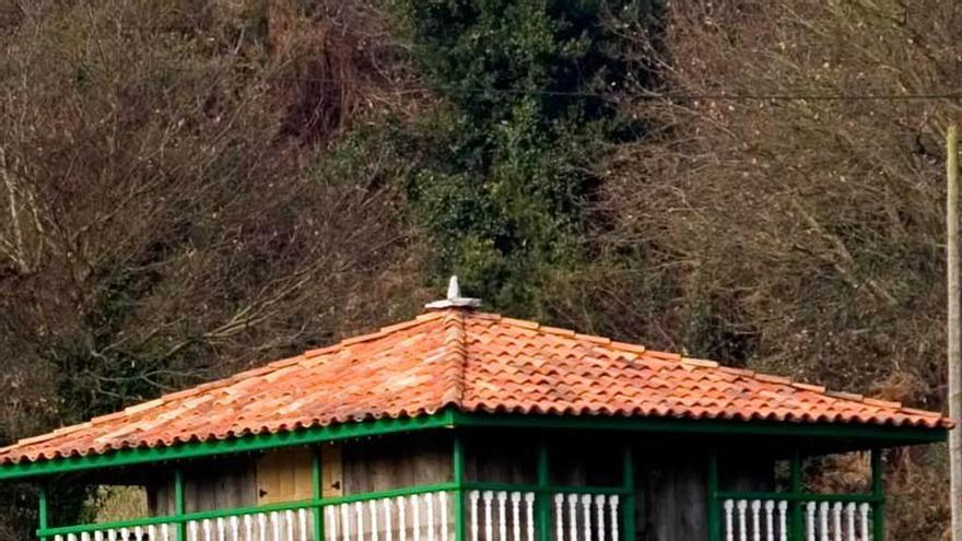 Un hórreo en Salines.