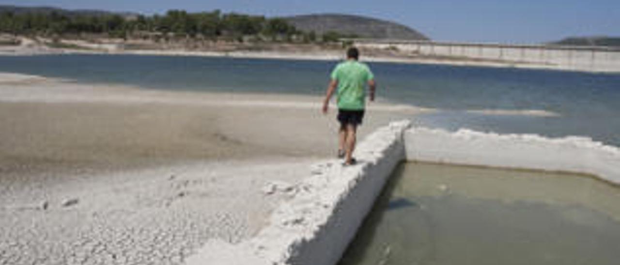 La CHJ ve «preocupante» la mortandad de peces pero asegura el caudal ecológico del río Albaida