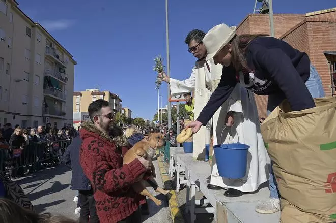 El patrón de los animales despierta la alegría en San Antón