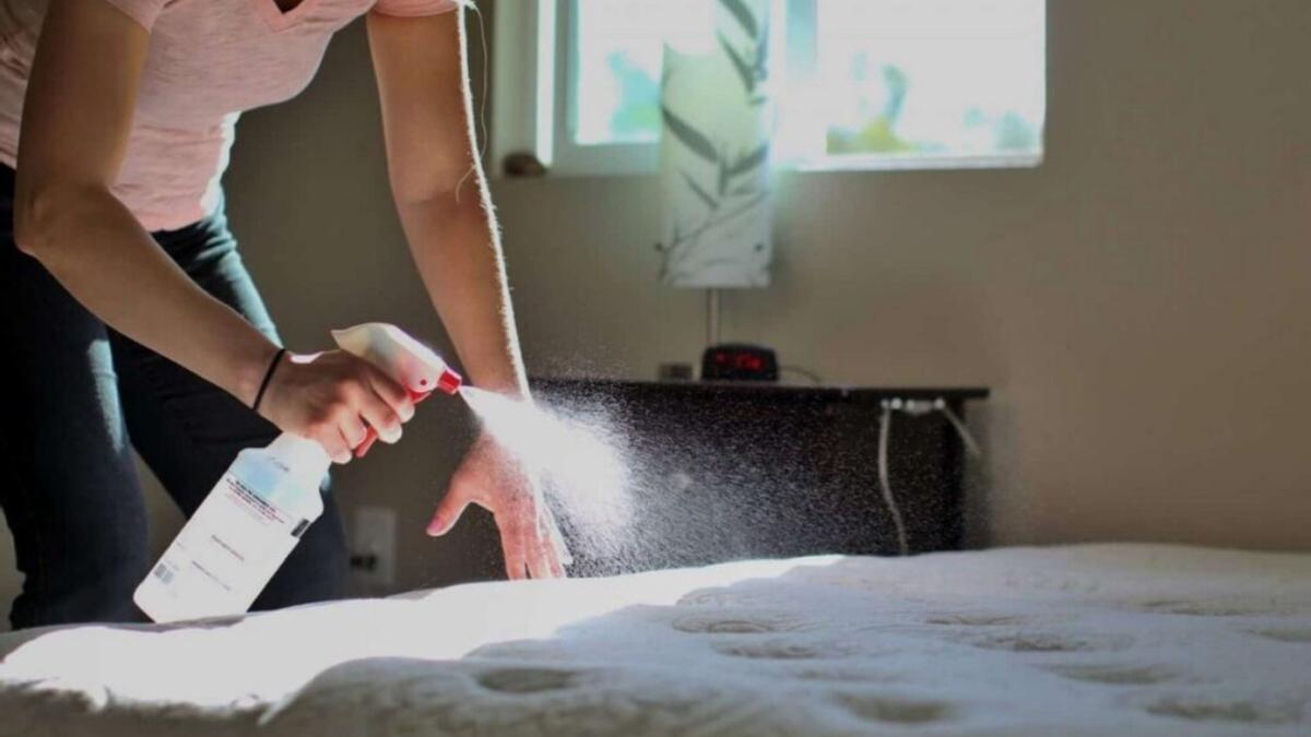 Sabes cómo limpiar un colchón y mantenerlo libre de ácaros?